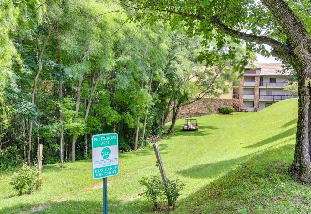 Lux Retro Getaway W/ Ober & Smoky Mtn Views! Βίλα Gatlinburg Εξωτερικό φωτογραφία